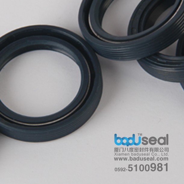 Fluorine gum skeleton oil seal multi-specification O-ring TC rubber ring skeleton oil seal
