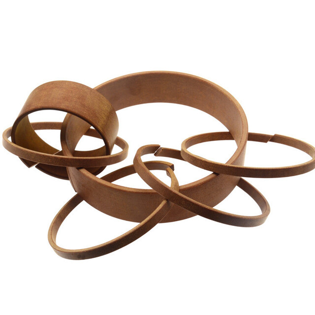 Hydraulic Bearing guidance seals RYT