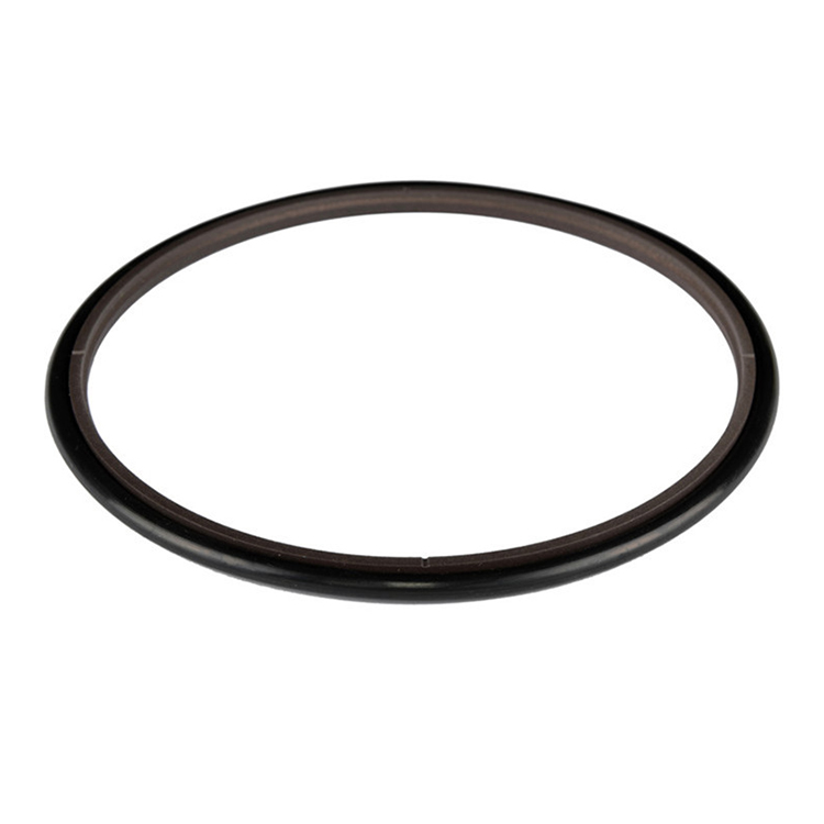 Hydraulic rod seals HBTS