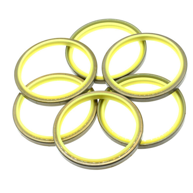 Hydraulic Wiper seals DKB
