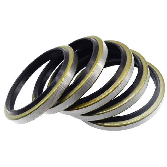 Hydraulic Wiper seals DKB