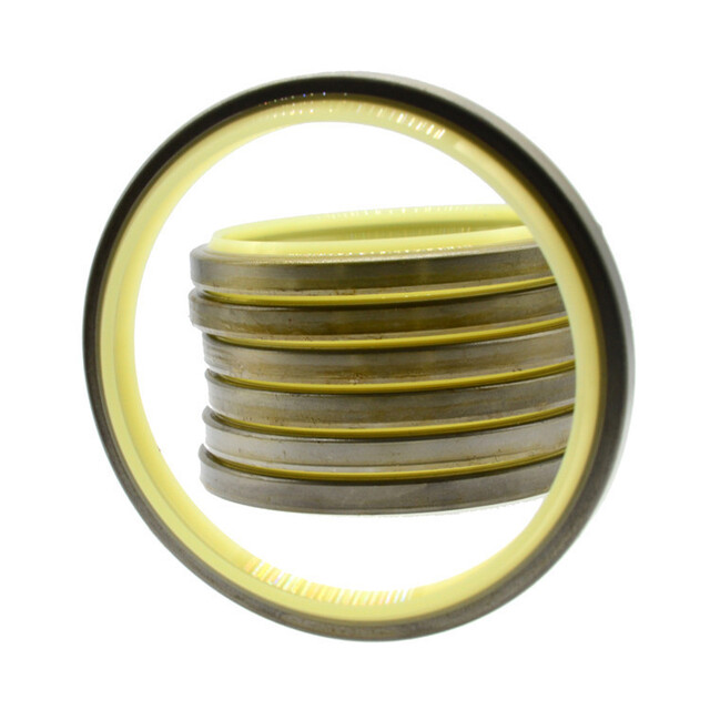 Hydraulic Wiper seals DKB