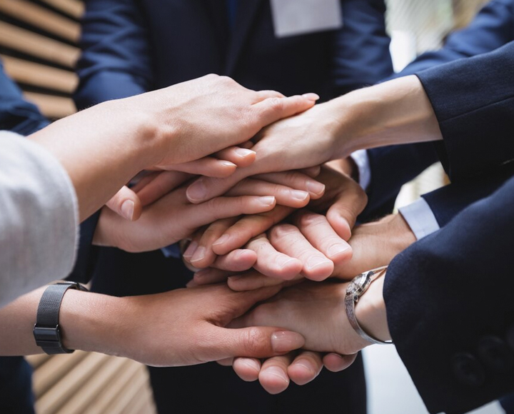 Our Partners